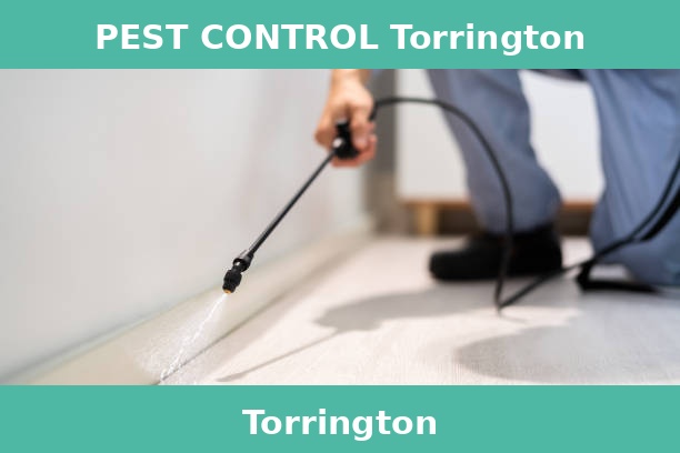 PEST CONTROL Torrington